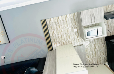 1 Bed Furnished Apt. For Rent In L/stone