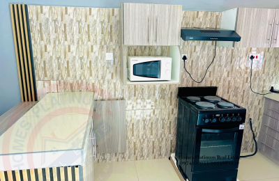 1 Bed Furnished Apt. For Rent In L/stone