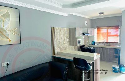 1 Bed Furnished Apt. For Rent In L/stone