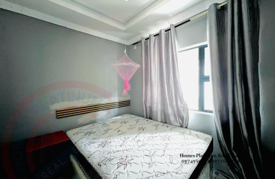 1 Bed Furnished Apt. For Rent In L/stone