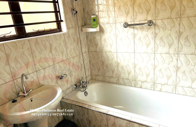 1 Bed Furnished Apt. For Rent In L/stone