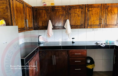 1 Bed Furnished Apt. For Rent In L/stone