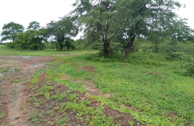 10.5 Ha in Kazungula - 301