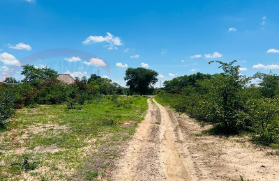 20 Acres Prime Land for sale in Livingstone