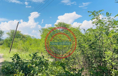 5 Acres Zambezi Water front