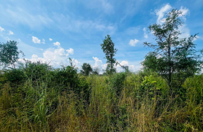 Vacant Residential Plot for sale in Higlands