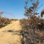 Vacant plot for Sale in Highlands