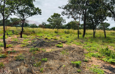 Plots for Sale Along Lusaka Road In Livingstone - Near Toll gate