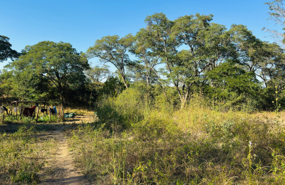 252 Hectares of farm land for sale in Zimba district