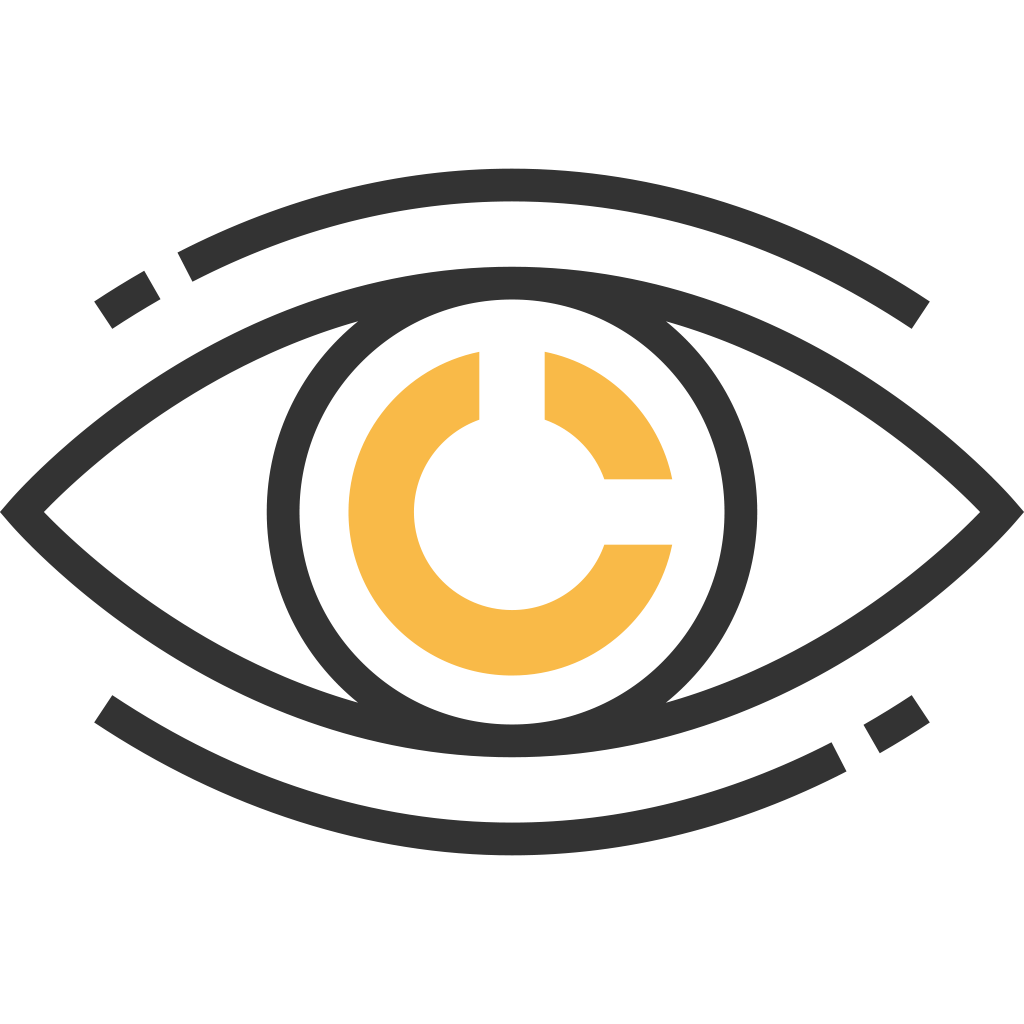 Our Vision