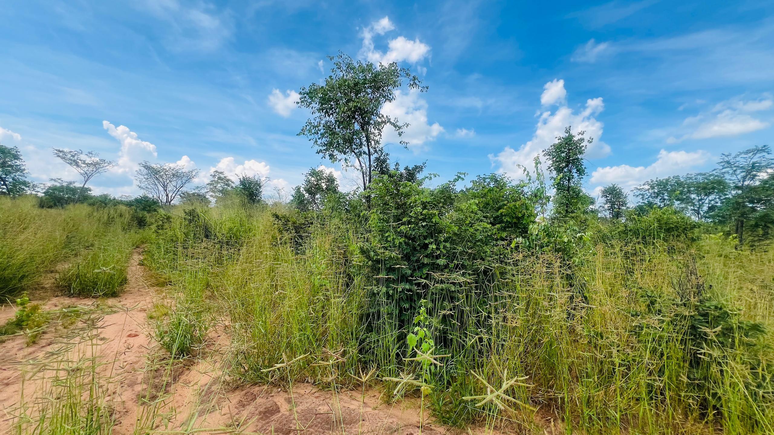 Vacant Residential Plot for sale in Higlands