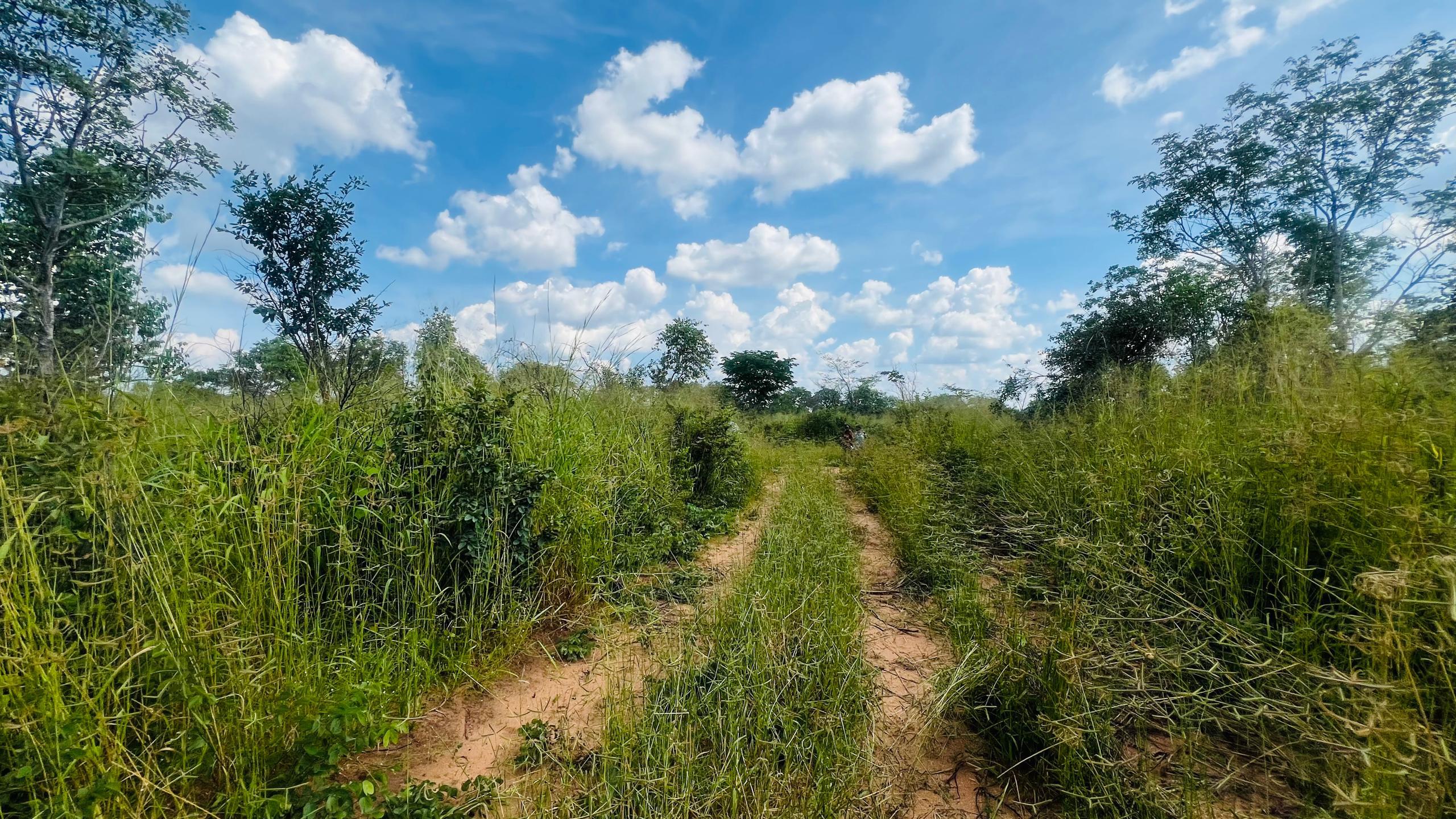 Vacant Residential Plot for sale in Higlands