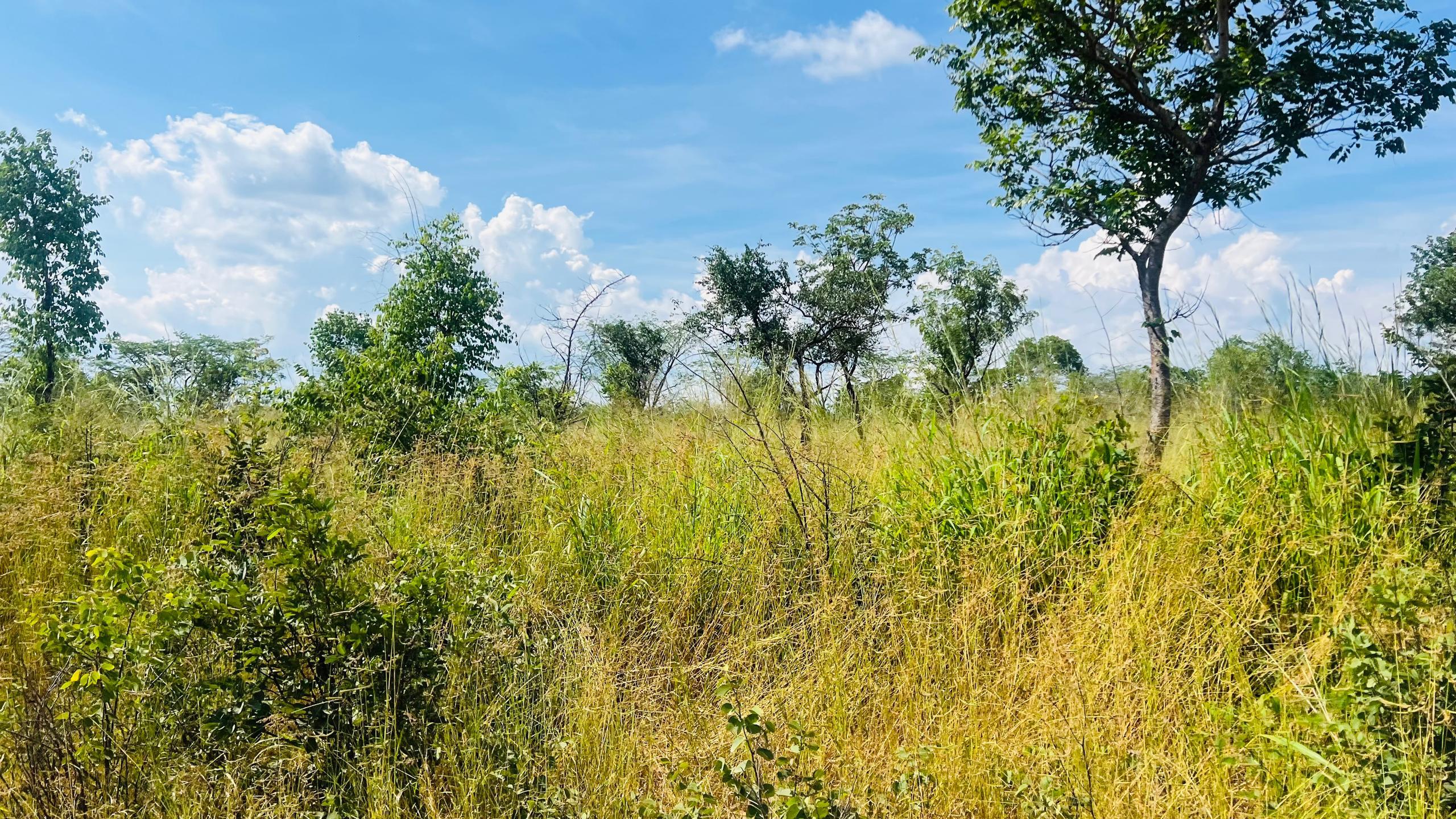 Vacant Residential Stand for sale in Livingstone