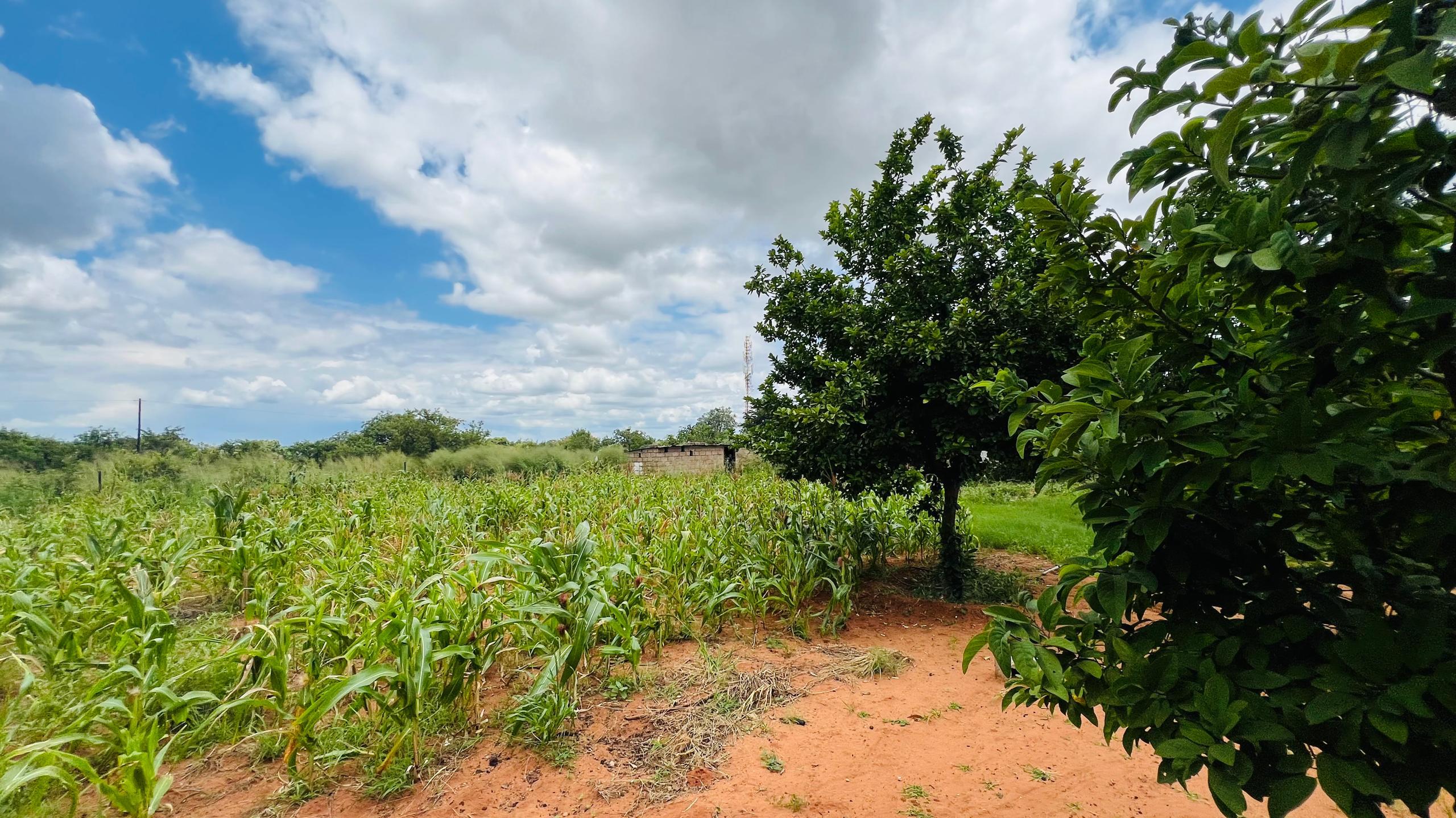 4 bedroom House for Sale in Highlands - Livingstone