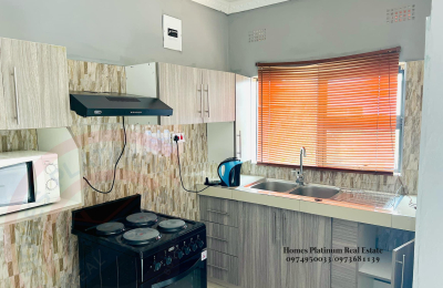 1 Bed Furnished Apt. For Rent In L/stone