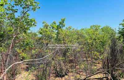 Plot For Sale In Highlands