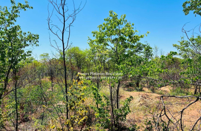 Plot For Sale In Highlands