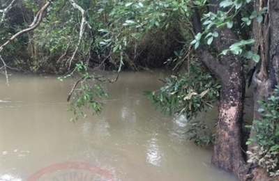 Virgin Farm Land for Sale in Kapiri Mposhi