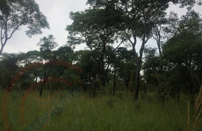 Virgin Farm Land for Sale in Kapiri Mposhi