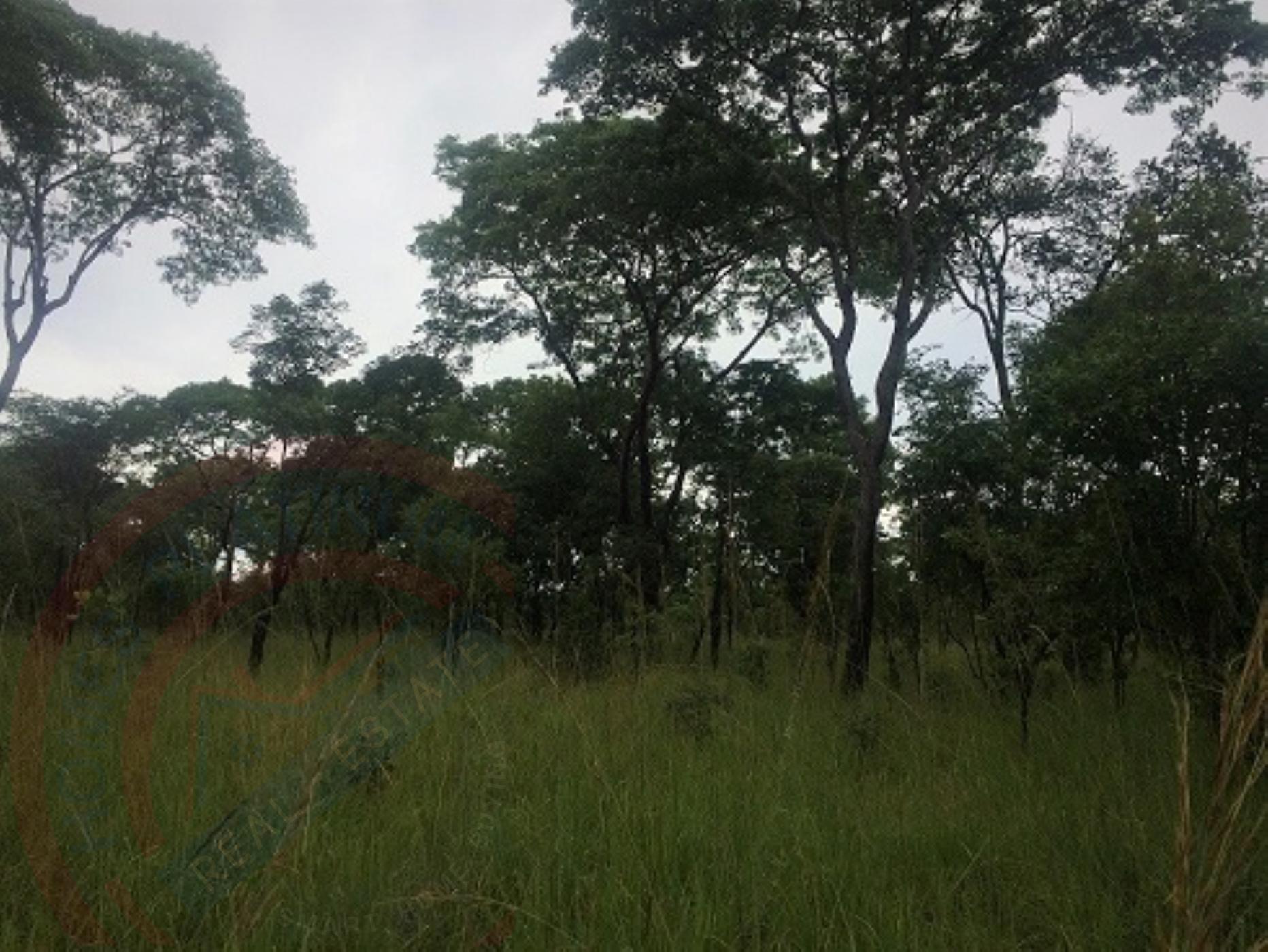 Virgin Farm Land for Sale in Kapiri Mposhi