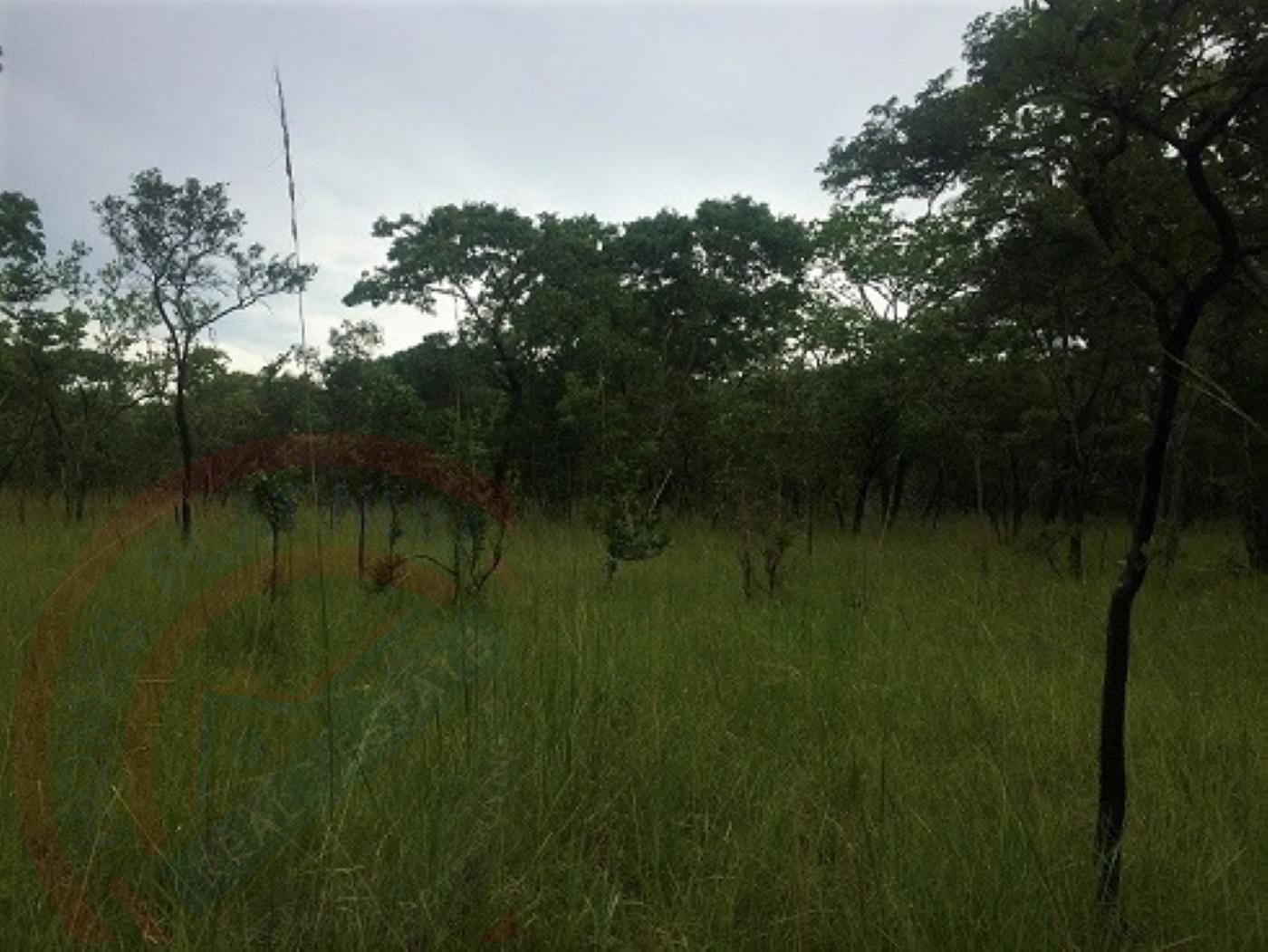 Virgin Farm Land for Sale in Kapiri Mposhi