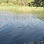 6Ha Zambezi River Frontage - 853