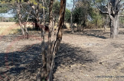 6Ha Zambezi River Frontage - 853