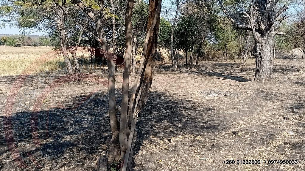 6Ha Zambezi River Frontage - 853