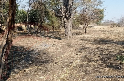 6Ha Zambezi River Frontage - 853
