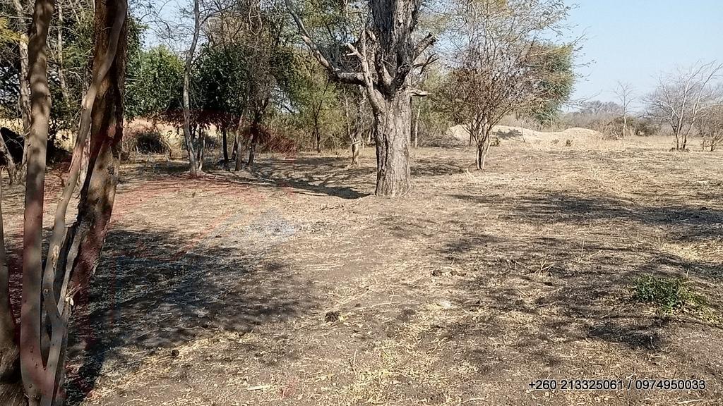 6Ha Zambezi River Frontage - 853