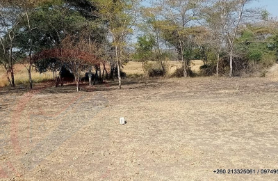 6Ha Zambezi River Frontage - 853