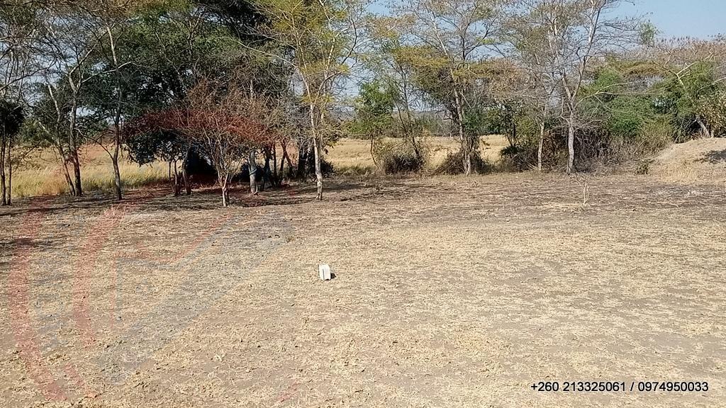 6Ha Zambezi River Frontage - 853