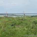 Beautiful Zambezi Waterfront land For Sale