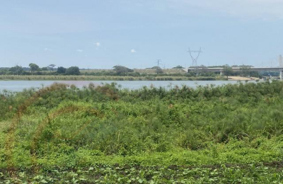 Beautiful Zambezi Waterfront land For Sale