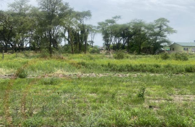 Beautiful Zambezi Waterfront land For Sale