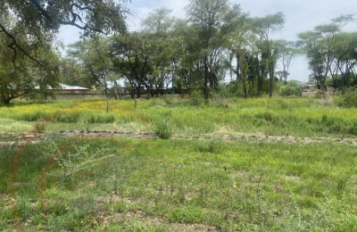 Beautiful Zambezi Waterfront land For Sale