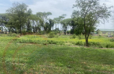 Beautiful Zambezi Waterfront land For Sale