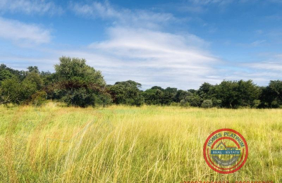 Zambezi Waterfront Land for Sale in Kazungula