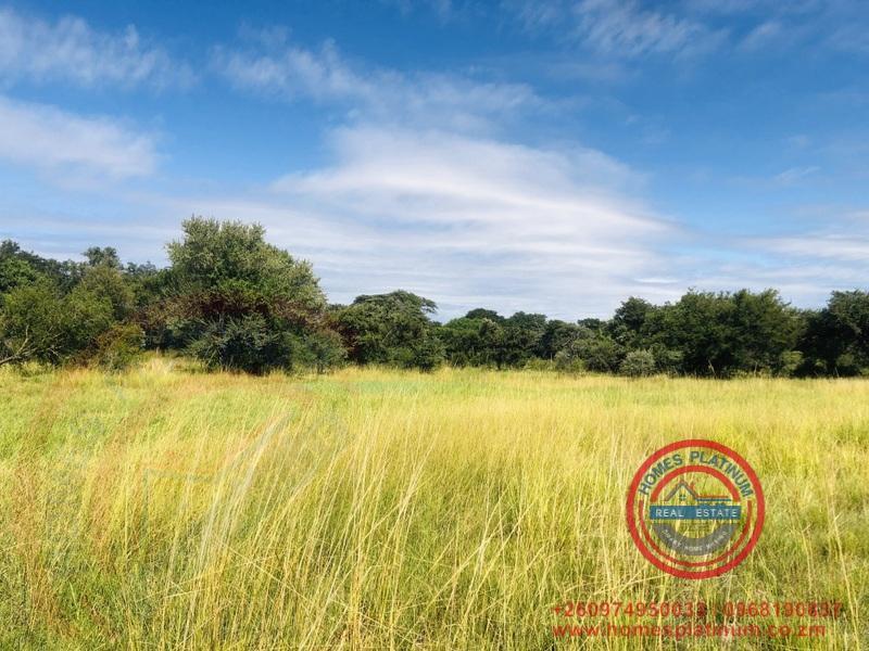 Zambezi Waterfront Land for Sale in Kazungula