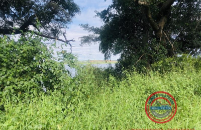 Zambezi Waterfront Kazun-2024