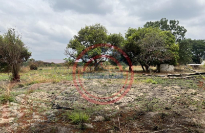 15 acres smallholding for sale in Kabwe