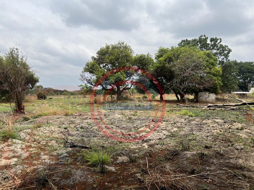 15 acres smallholding for sale in Kabwe