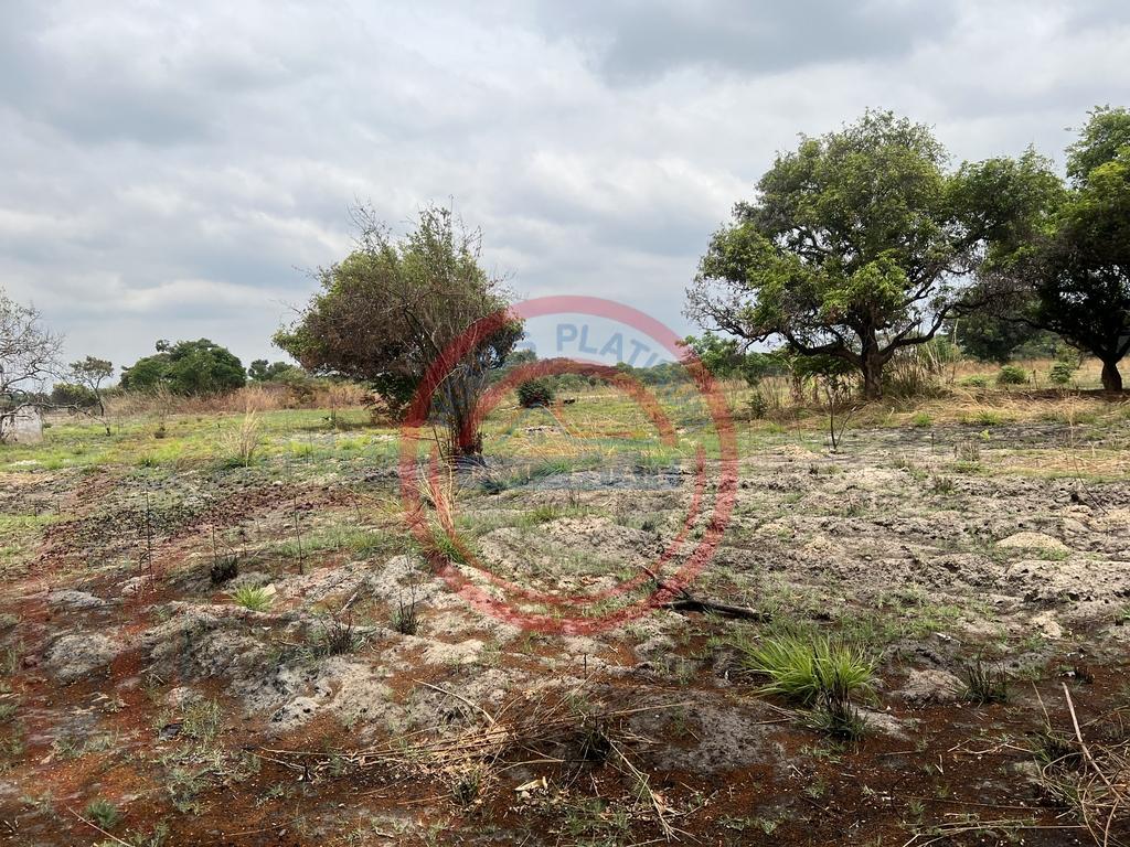 15 acres smallholding for sale in Kabwe