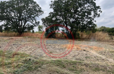 15 acres smallholding for sale in Kabwe