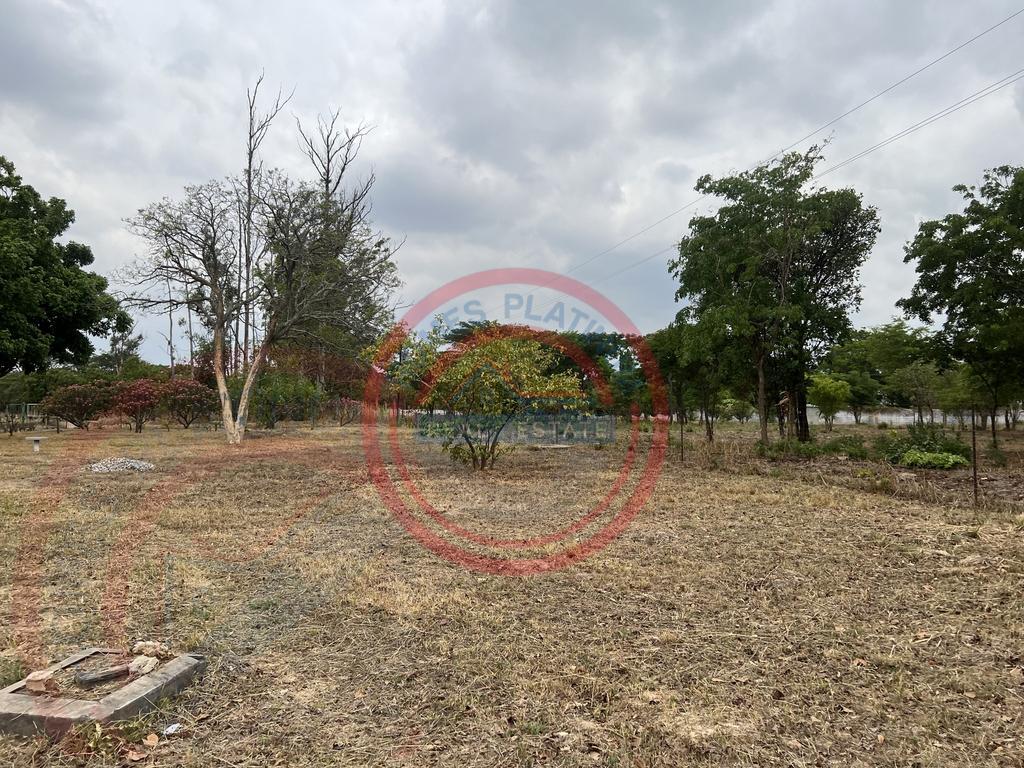 15 acres smallholding for sale in Kabwe