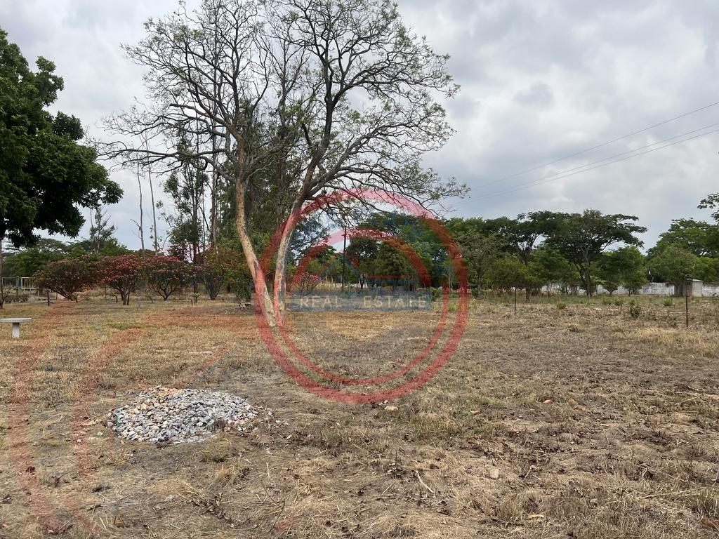 15 acres smallholding for sale in Kabwe