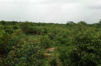 10.5 Ha in Kazungula - 301