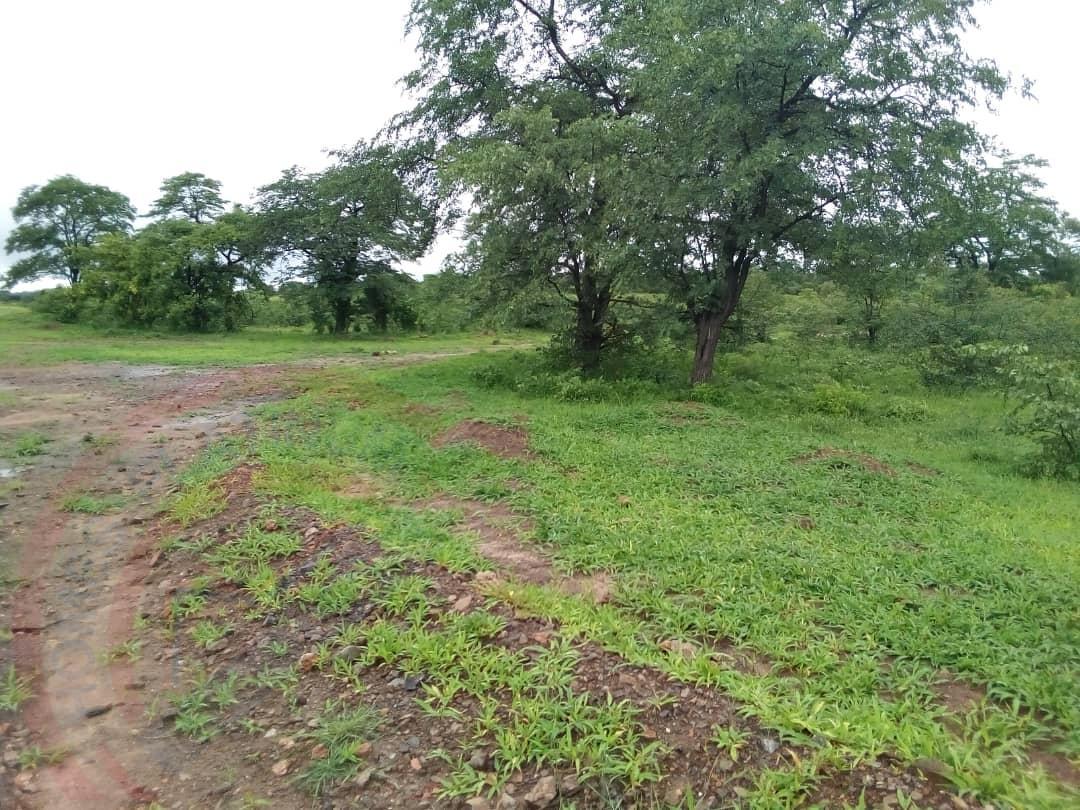 10.5 Ha in Kazungula - 301