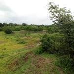 10.5 Ha in Kazungula - 301