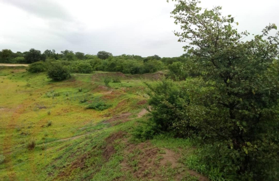 10.5 Ha in Kazungula - 301